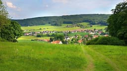 Sommerfest des Kreisverbands